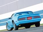 Pontiac Firebird Esprit Sky Bird 1977 года
